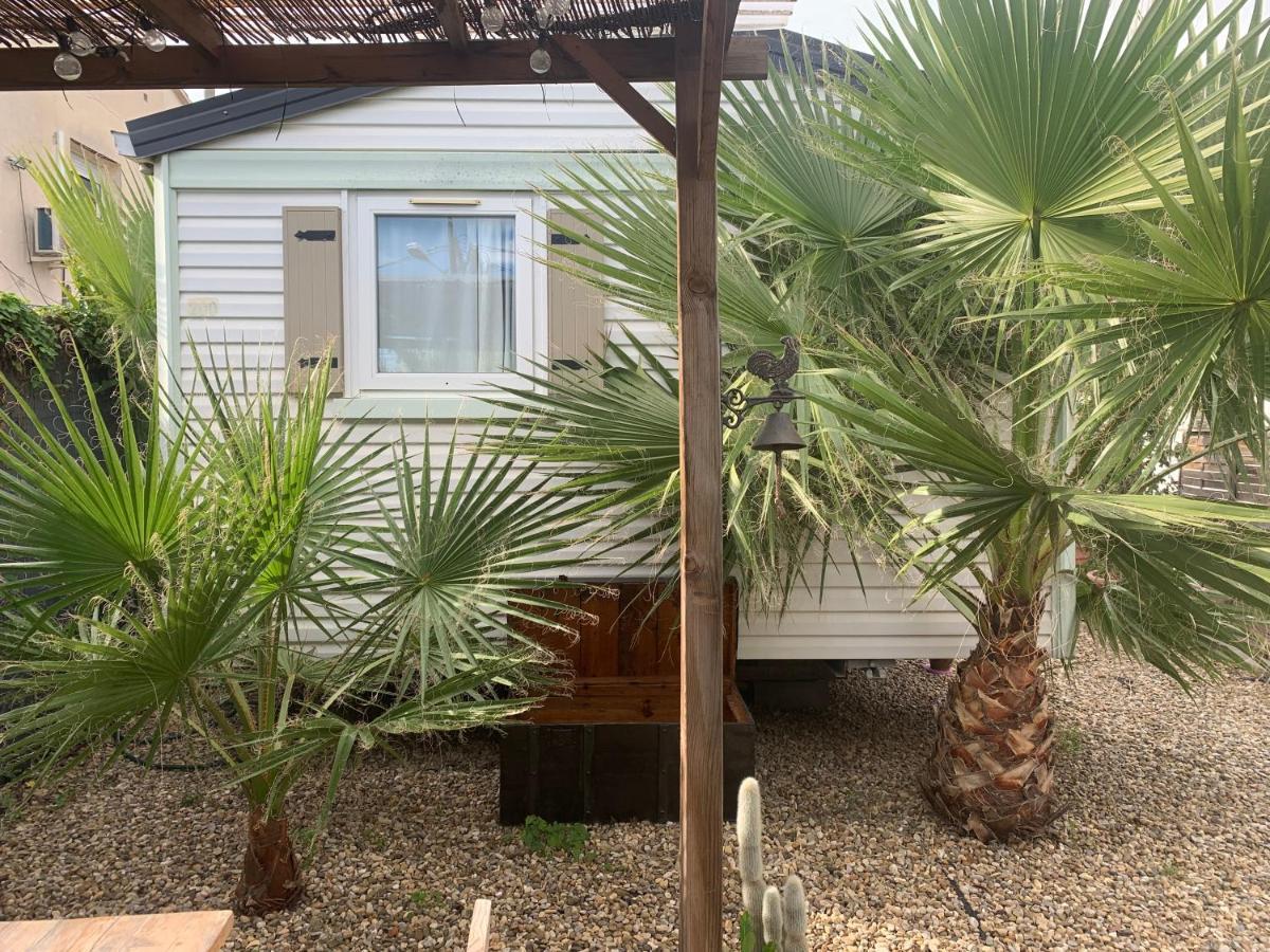 Nice Little House Διαμέρισμα Βαρκελώνη Εξωτερικό φωτογραφία